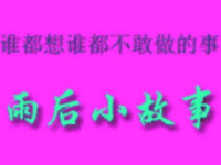 雨后小故事系列,自然之美与心灵感悟