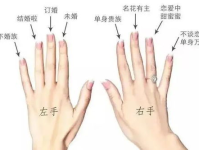 女戒指的戴法和意义,女性戒指佩戴指南与情感寓意