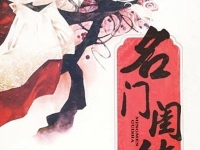 名门 小说,权谋风云下的家族传奇