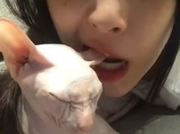 娱乐吃瓜酱虐猫,真相与反思