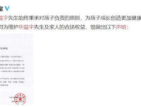 娱乐圈吃瓜作文,揭秘明星背后的故事