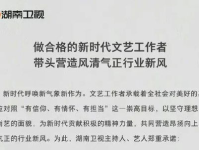 娱乐圈吃瓜报告,揭秘明星幕后故事与热点事件