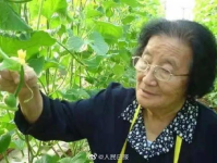 娱乐吃瓜酱不叠被子,揭秘明星不叠被子的秘密生活