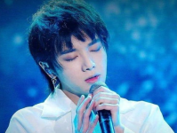 爱豆吃瓜娱乐酱华晨宇,爱豆吃瓜娱乐酱，揭秘明星背后的故事