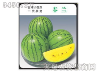 吃瓜娱乐圈小兰花,娱乐圈的甜蜜瓜果，揭秘明星背后的故事