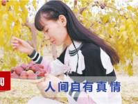 娱乐吃瓜酱感人故事大全,娱乐吃瓜酱感人故事精选集