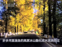 娱乐吃瓜君豪宅