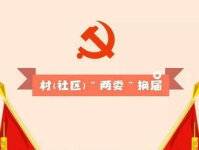 今日关注最新一期,今日关注最新一期深度解析