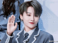 娱乐吃瓜君刘雨昕小说,揭秘娱乐圈背后的秘密与真相