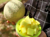 龙坤娱乐吃瓜,揭秘娱乐圈背后的“吃瓜”真相