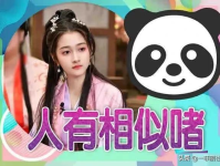 娱乐吃瓜爆料小说推荐,揭秘明星背后的秘密与八卦