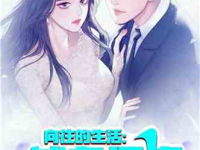 娱乐吃瓜小说双男主,双男主的甜蜜食趣之旅